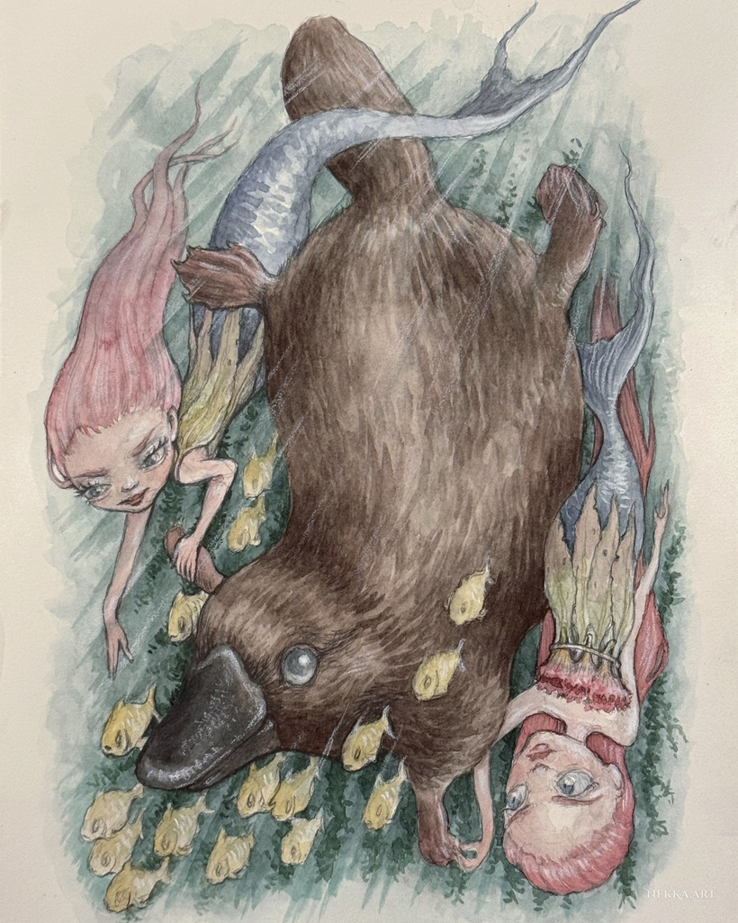 The Platypus & the Bush Mermaids (Pt. 2)