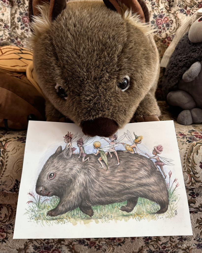The wombat & the bush fairies (part 2)