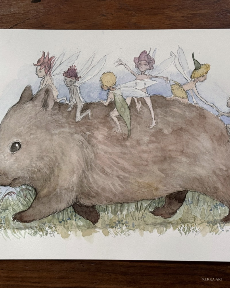 The wombat & the bush fairies